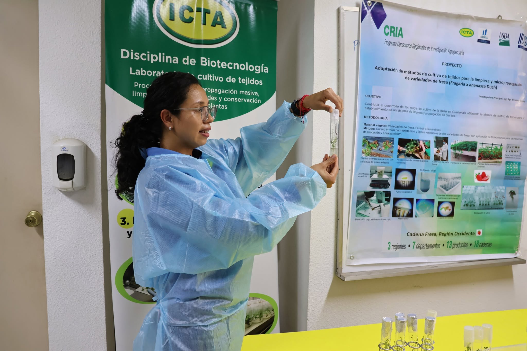 Investigación ICTA