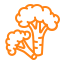 Icono de brócoli