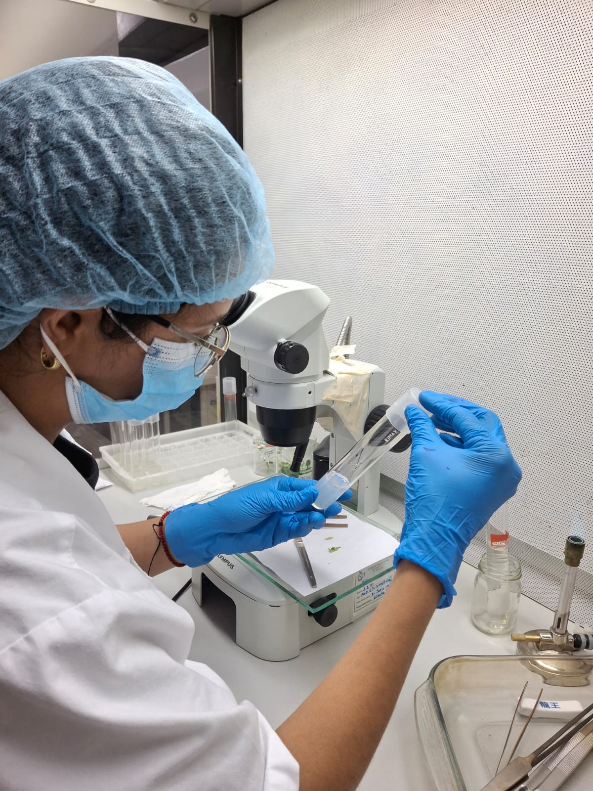 Laboratorio Biotecnología CEPALO Labor Ovalle ICTA Quetzaltenango