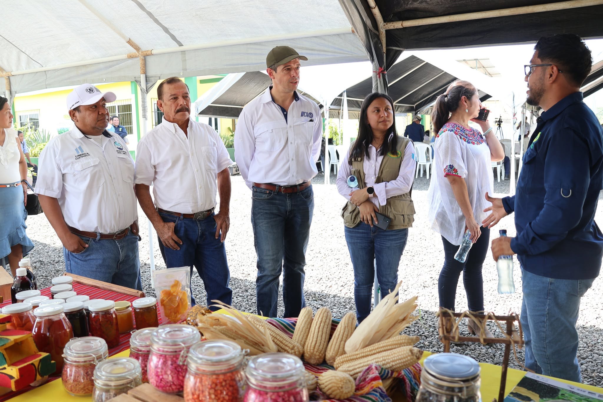 Investigación en maíz