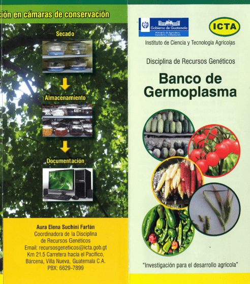 Banco de Germoplasma