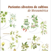 Parientes silvestres Mesoamérica