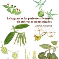 Salvaguardar parientes silvestres