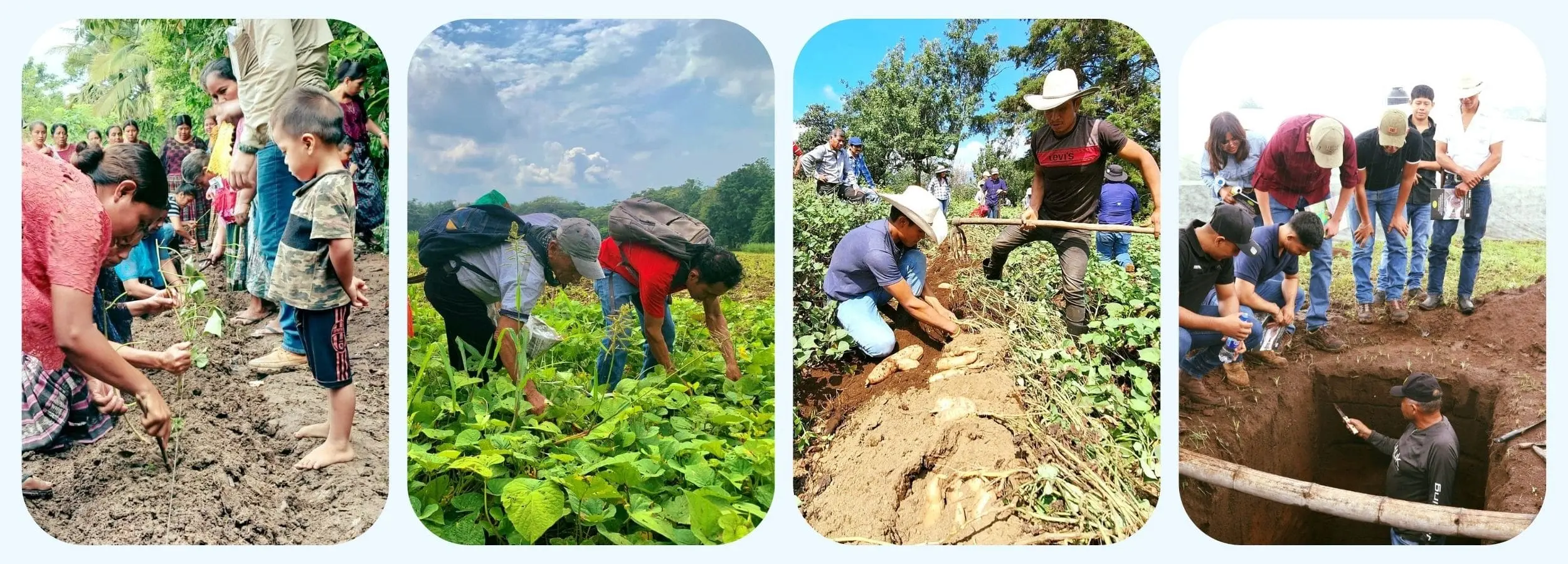 agricultores ICTA